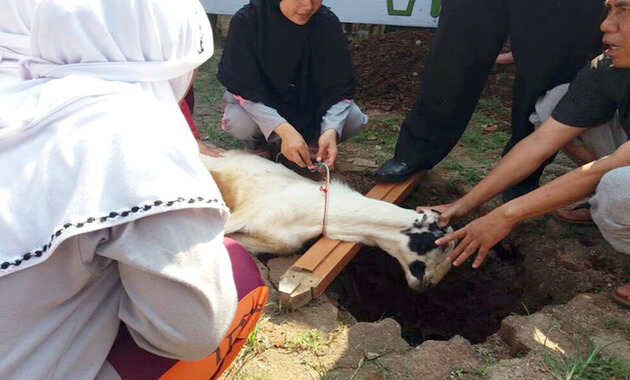 jasa aqiqah bekasi