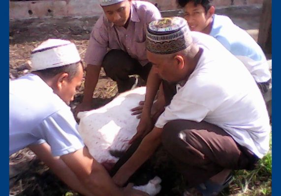 aqiqah tambun di cibitung cikarang